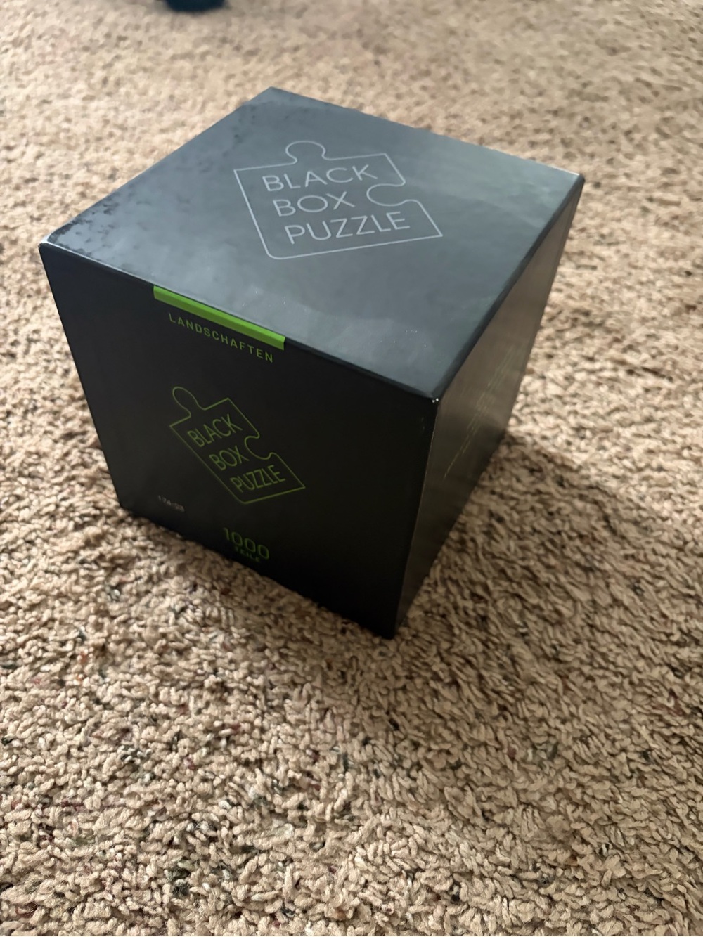 Black Box Puzzle 1000-Piece Puzzle - Black with Neon Green Accent